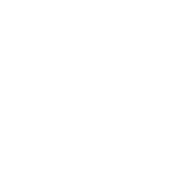 3DO icon