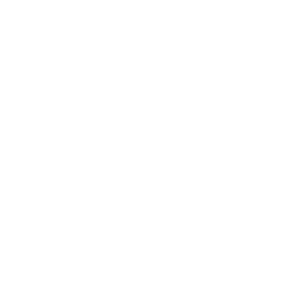 Amiga icon