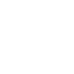 Apple IIGS icon