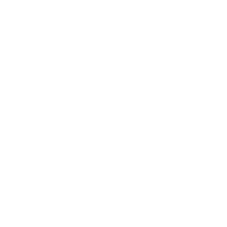 Blackberry icon