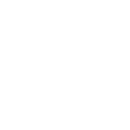 Browser icon
