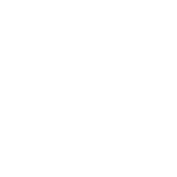 DOS icon
