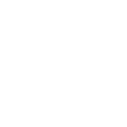 Dreamcast icon