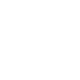 FM Towns icon