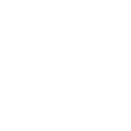 Mobile icon