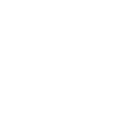 MSX icon