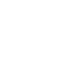 MSX2 icon