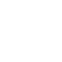 N-Gage icon