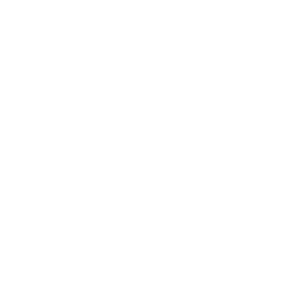 New 3DS icon