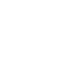 N64 icon