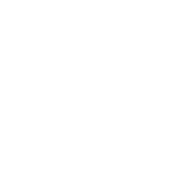 NEO•GEO AES icon
