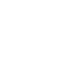 NEO•GEO CD icon