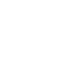 NES icon