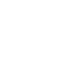 OnLive icon