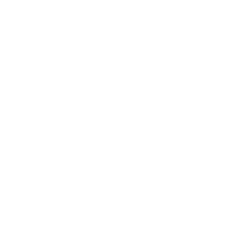 PC-9800 icon