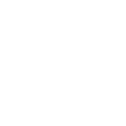 Philips CD-i icon