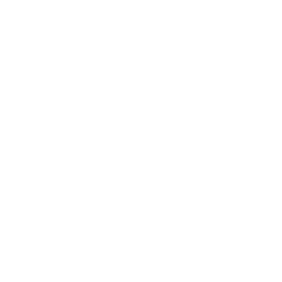 Playdate icon