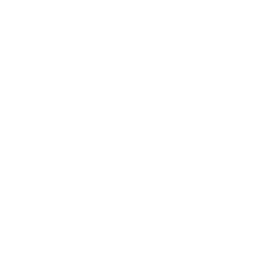 PS1 icon