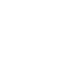 PS2 icon