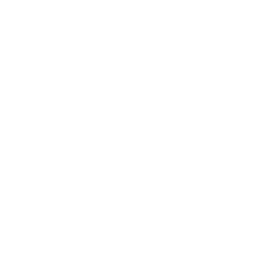 PS4 icon