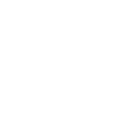 PS5 icon
