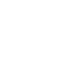 Saturn icon