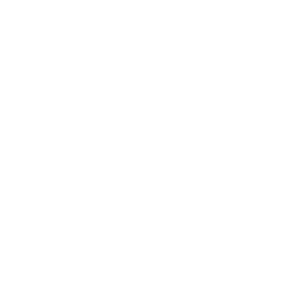 Sega CD icon
