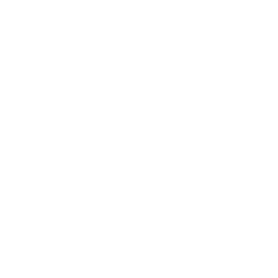 Wii icon
