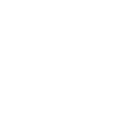 Wii U icon