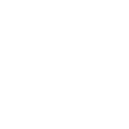 XBOX icon