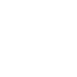ZX Spectrum icon